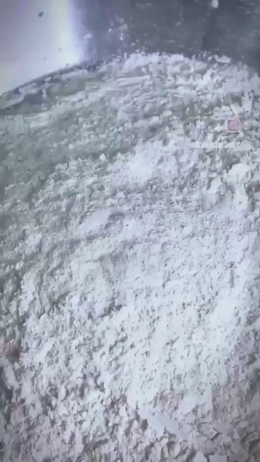 Doon Memories eggless atta cookies